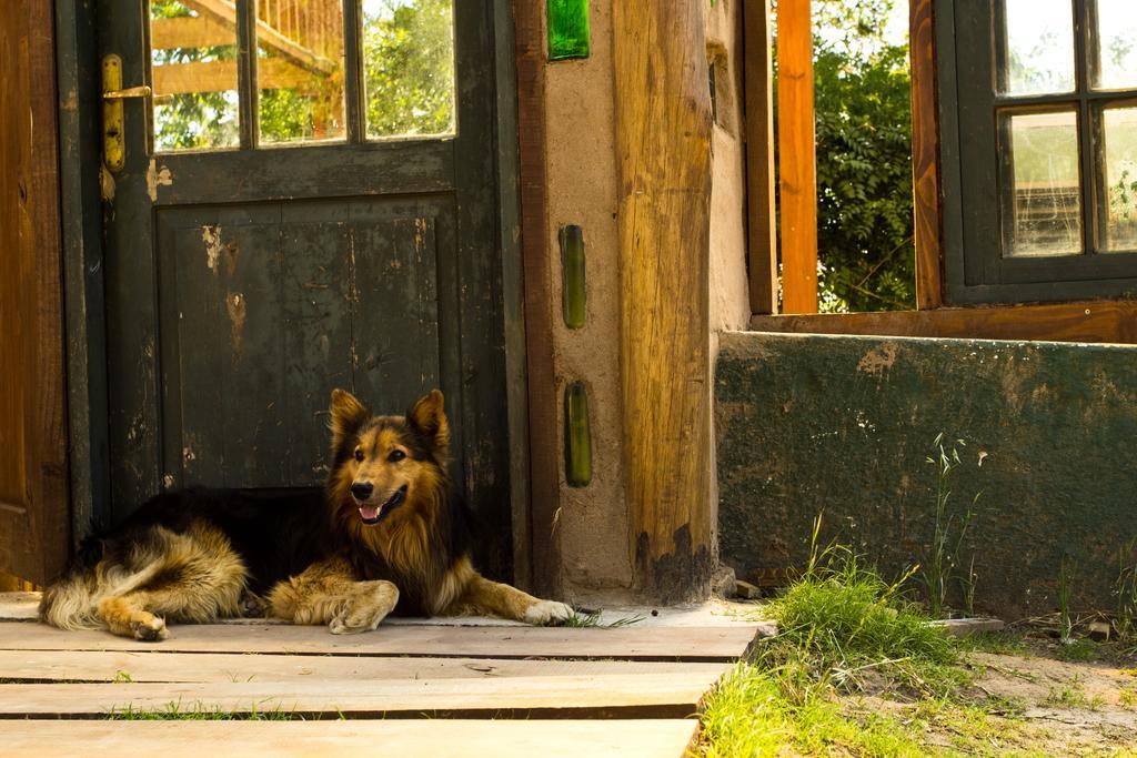 Negrita Hostel La Barra エクステリア 写真